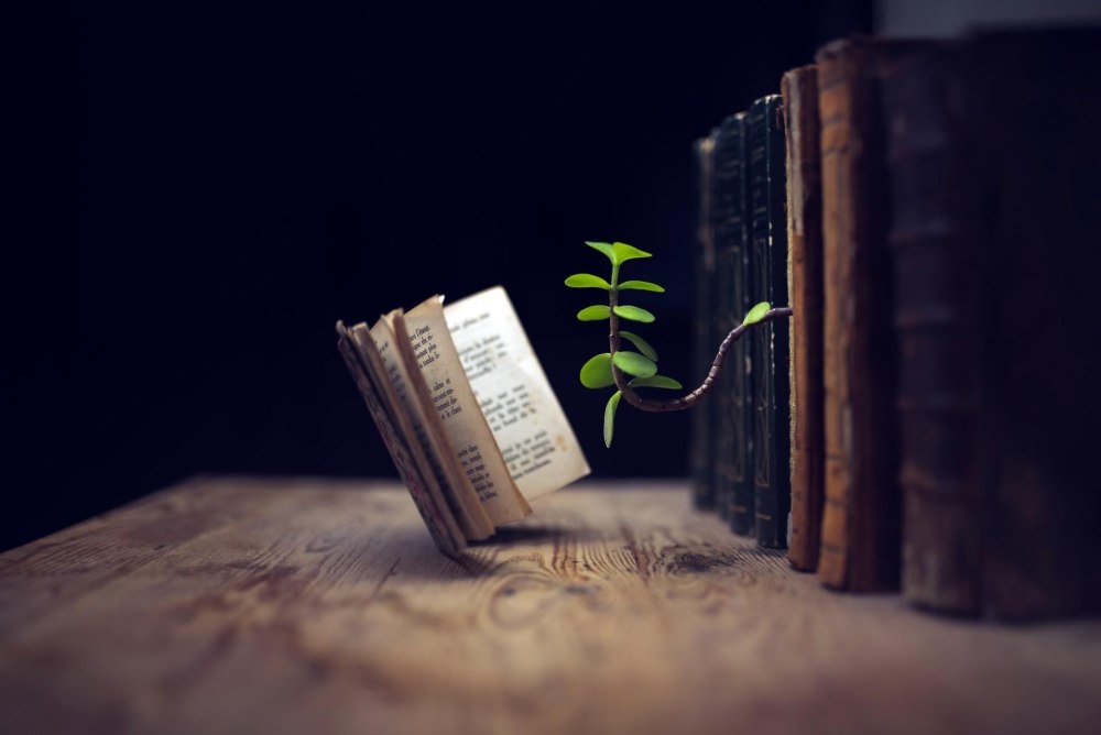 Книга на траве