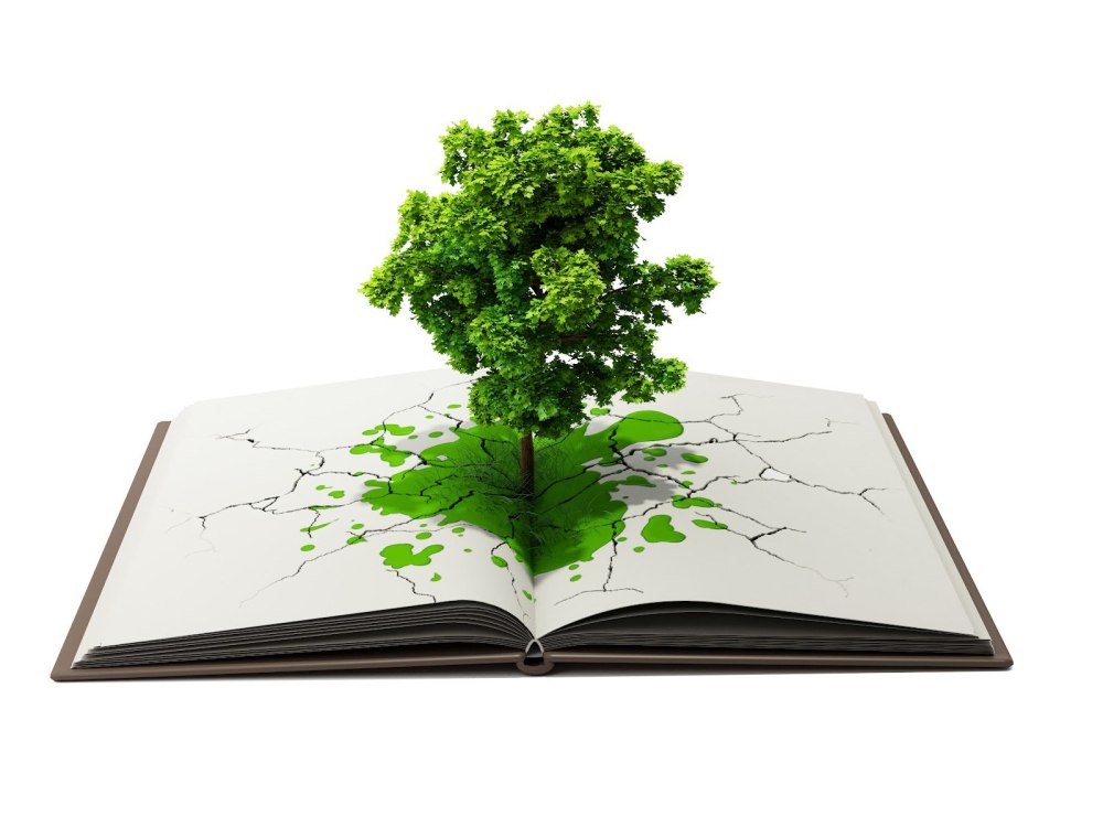 Книга природа