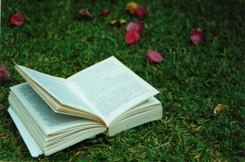 Фон книги