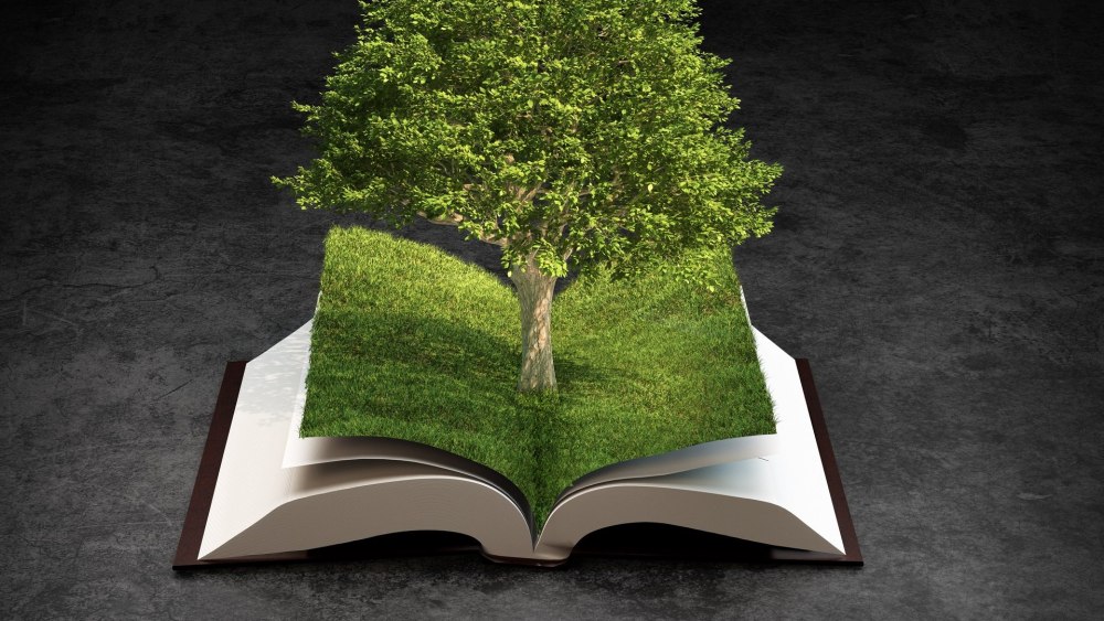 Обложка старой книги
