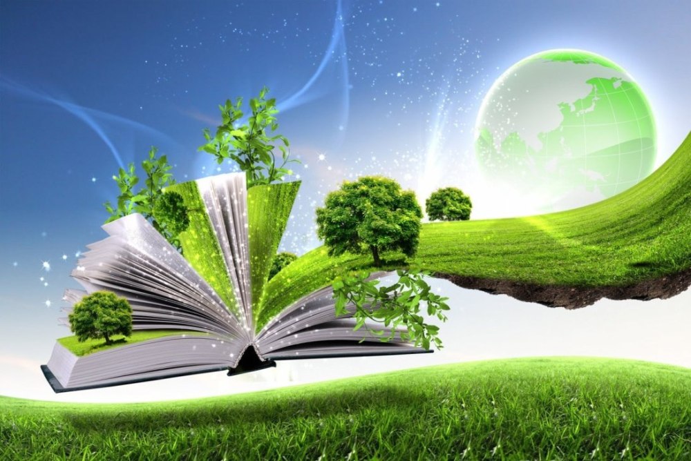 Летняя подборка книг для детей