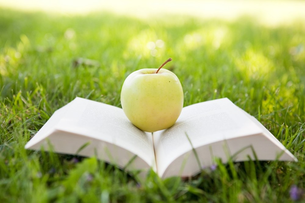 Книга на зелёном фоне