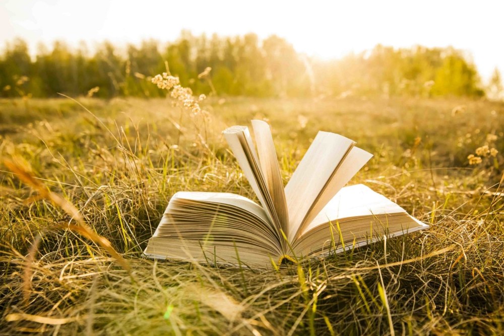 Книги обои