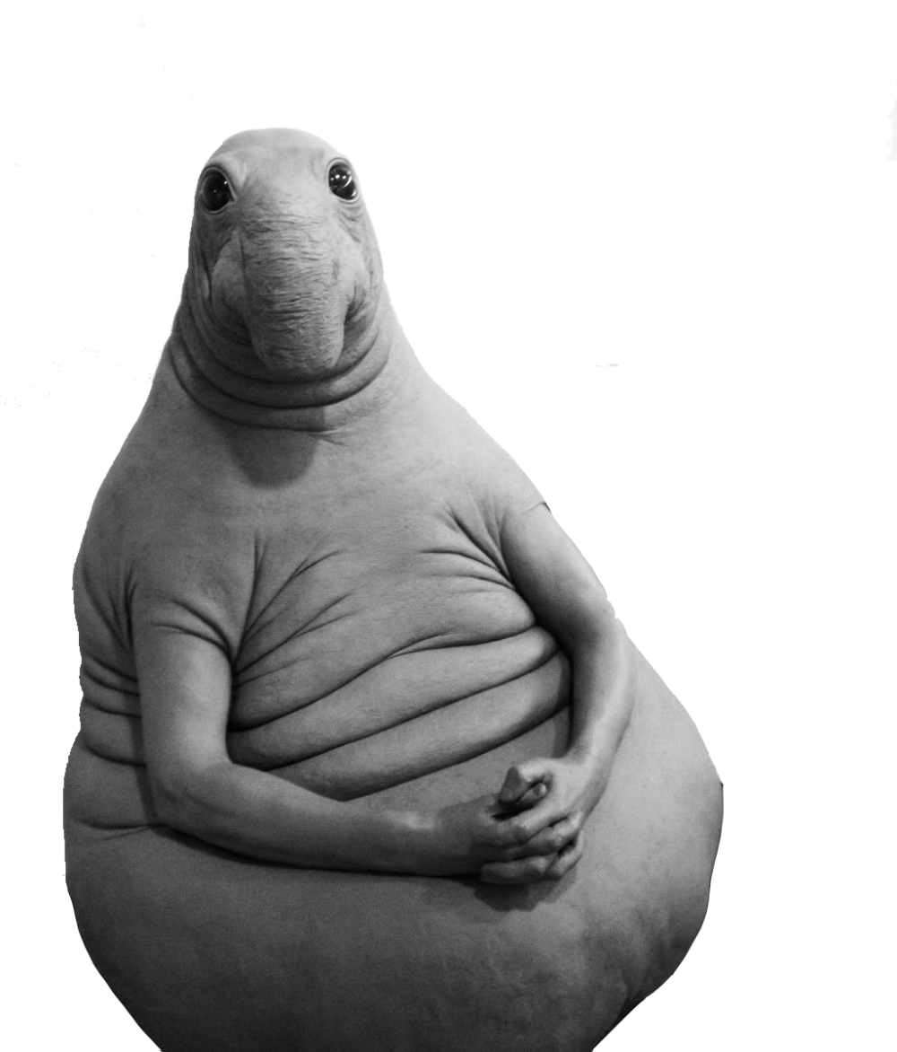 Мемы про Колывана