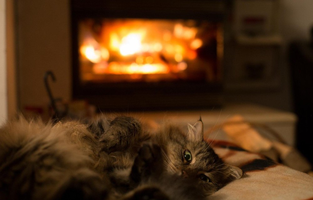 Утренний кофе