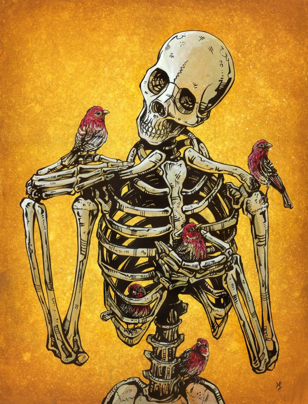 Скелеты David Lozeau