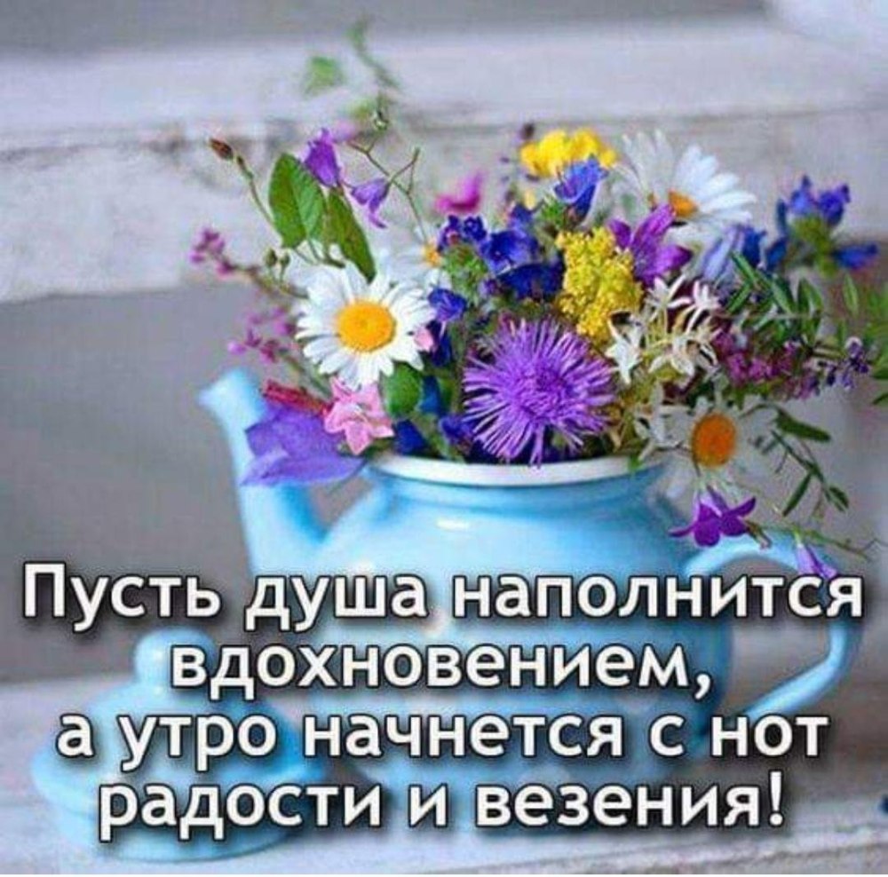 Шикарные ромашки