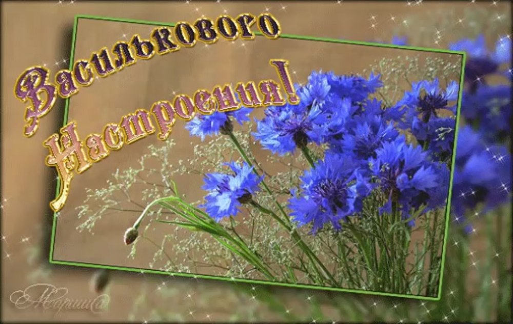 Ромашки и васильки