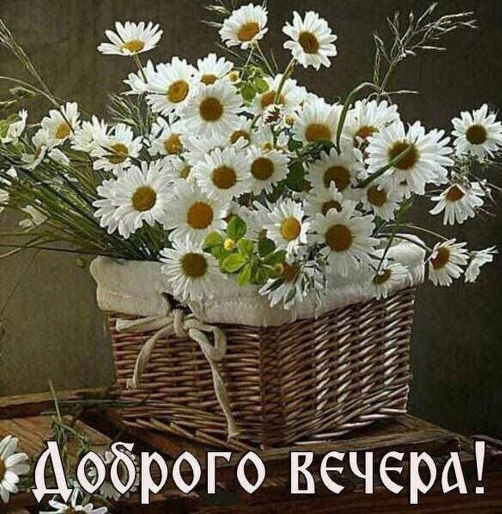 Букет сентябринок