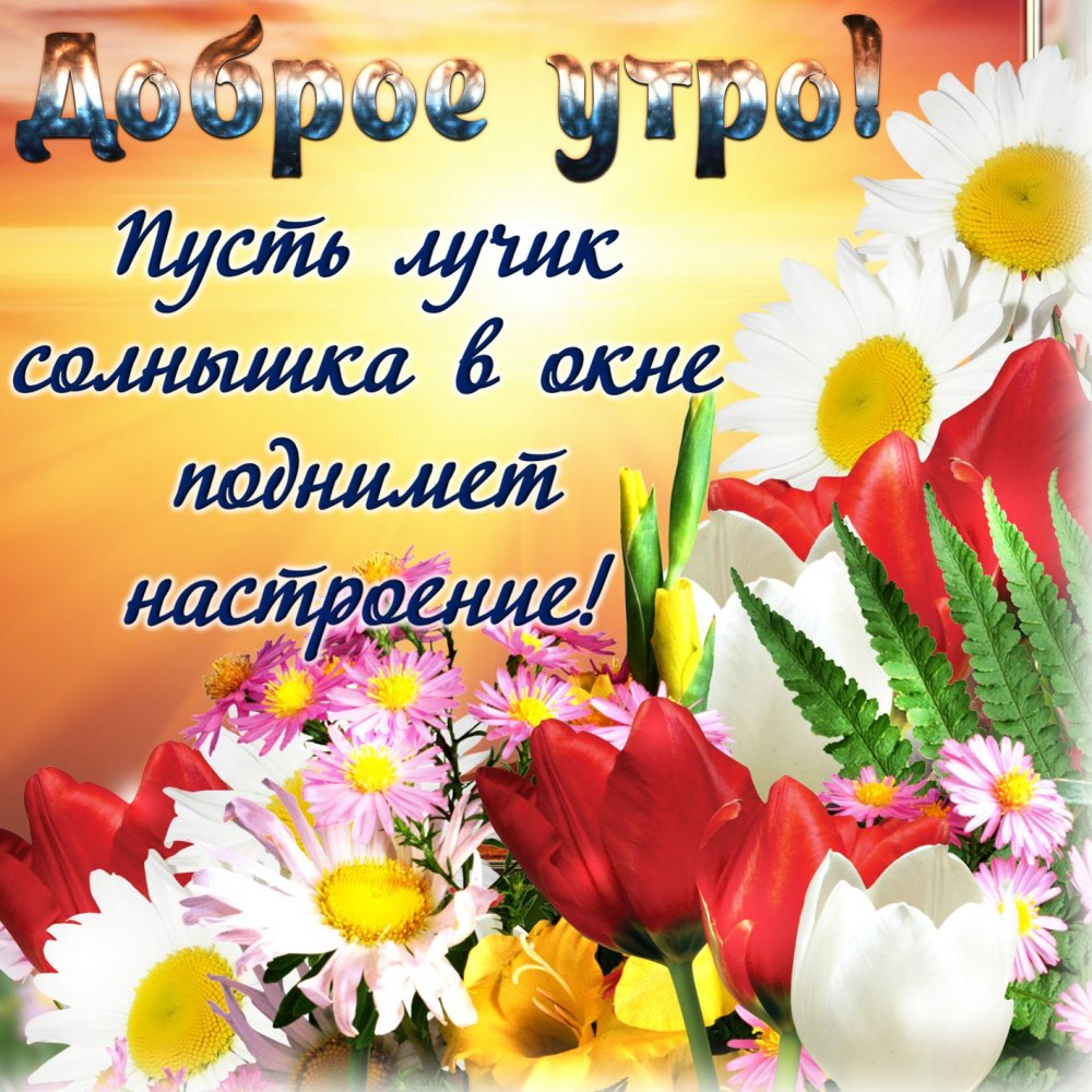 Сирень и шляпка