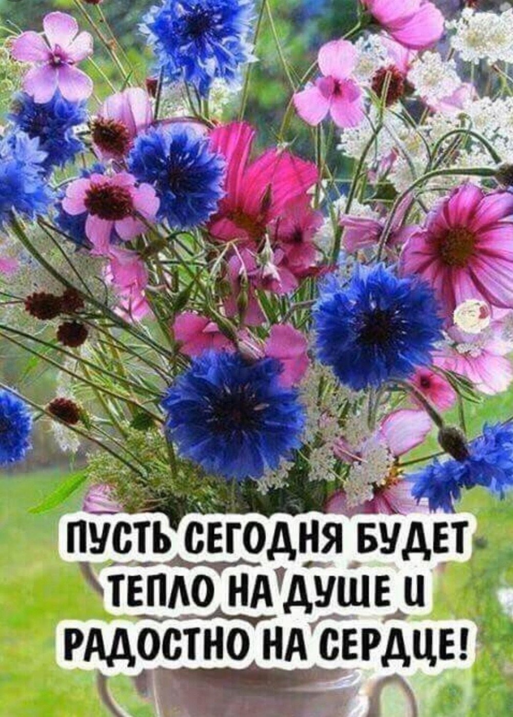 С добрым утром полевые цветы