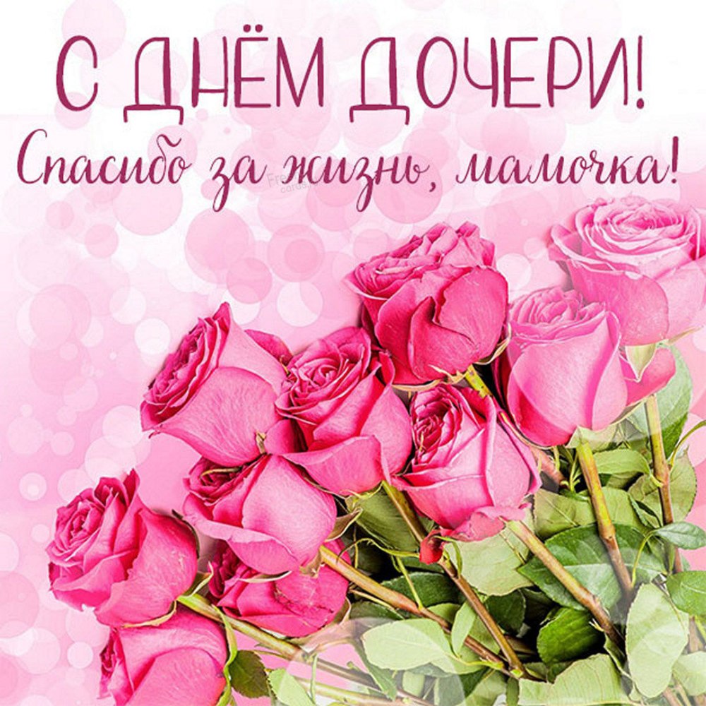 Фон с цветами для поздравления
