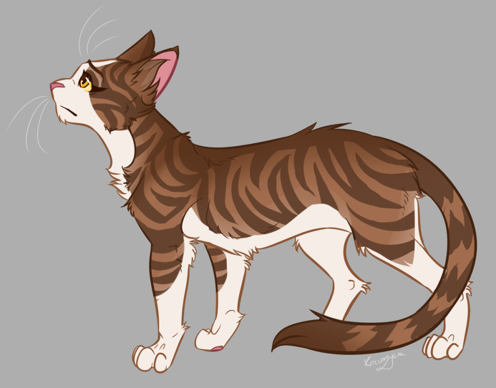 Leafpool коты Воители
