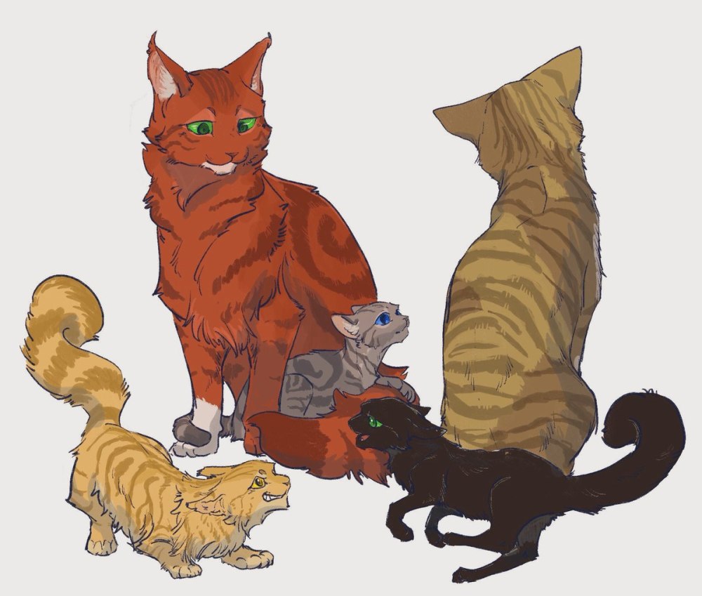 Коты Воители Верескоглазка