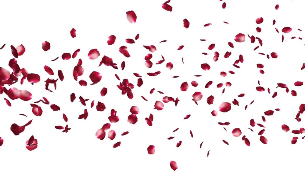 Rose Petals (лепестки роз)