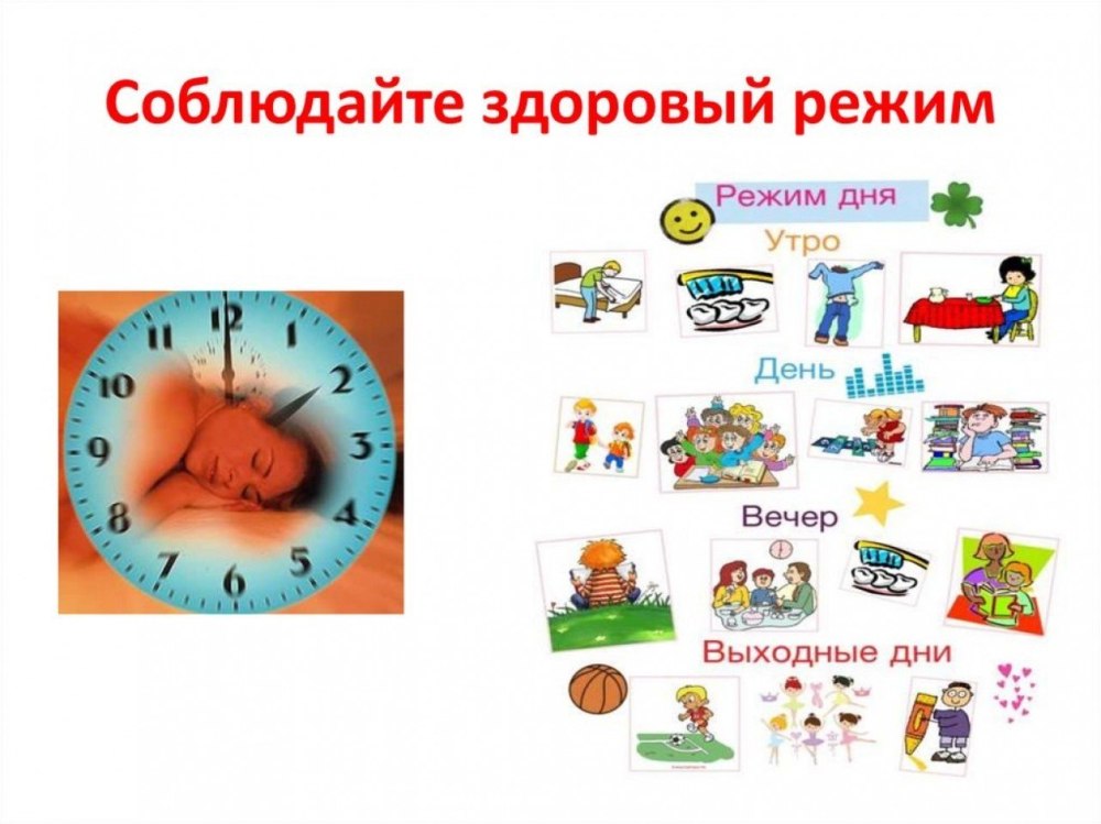 Распорядок дня