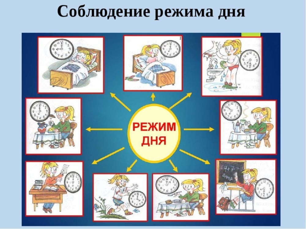 Распорядок дня школьника