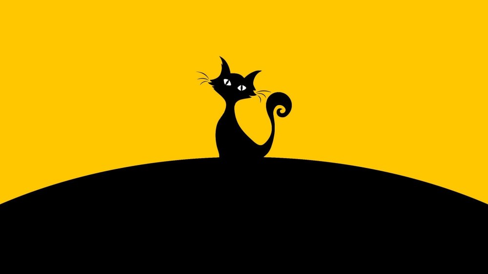 Кот Минимализм
