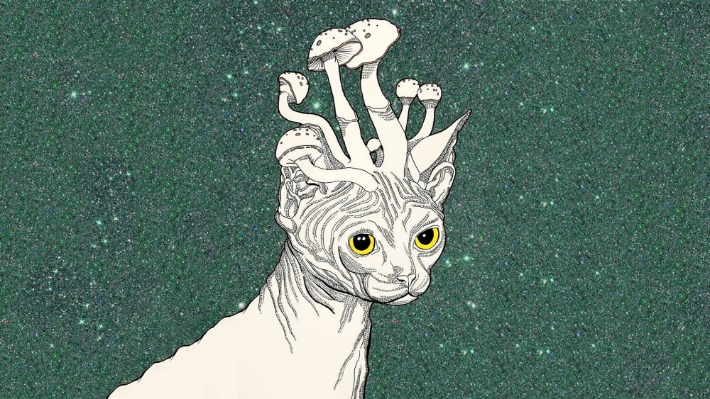 Коричневая Эстетика аниме