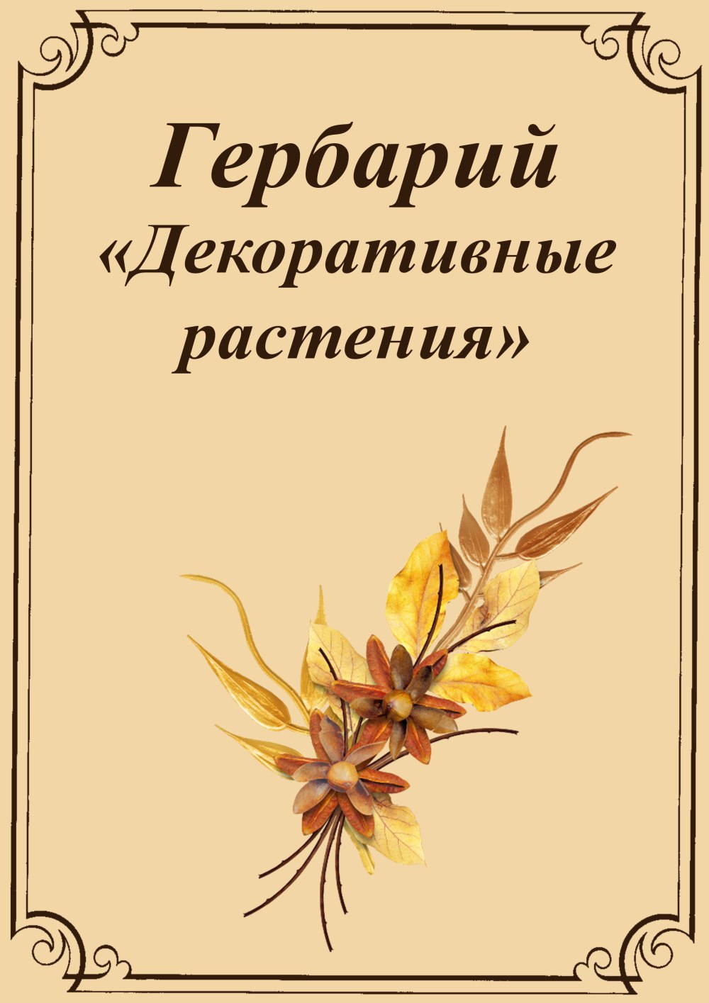 Бланк для гербария