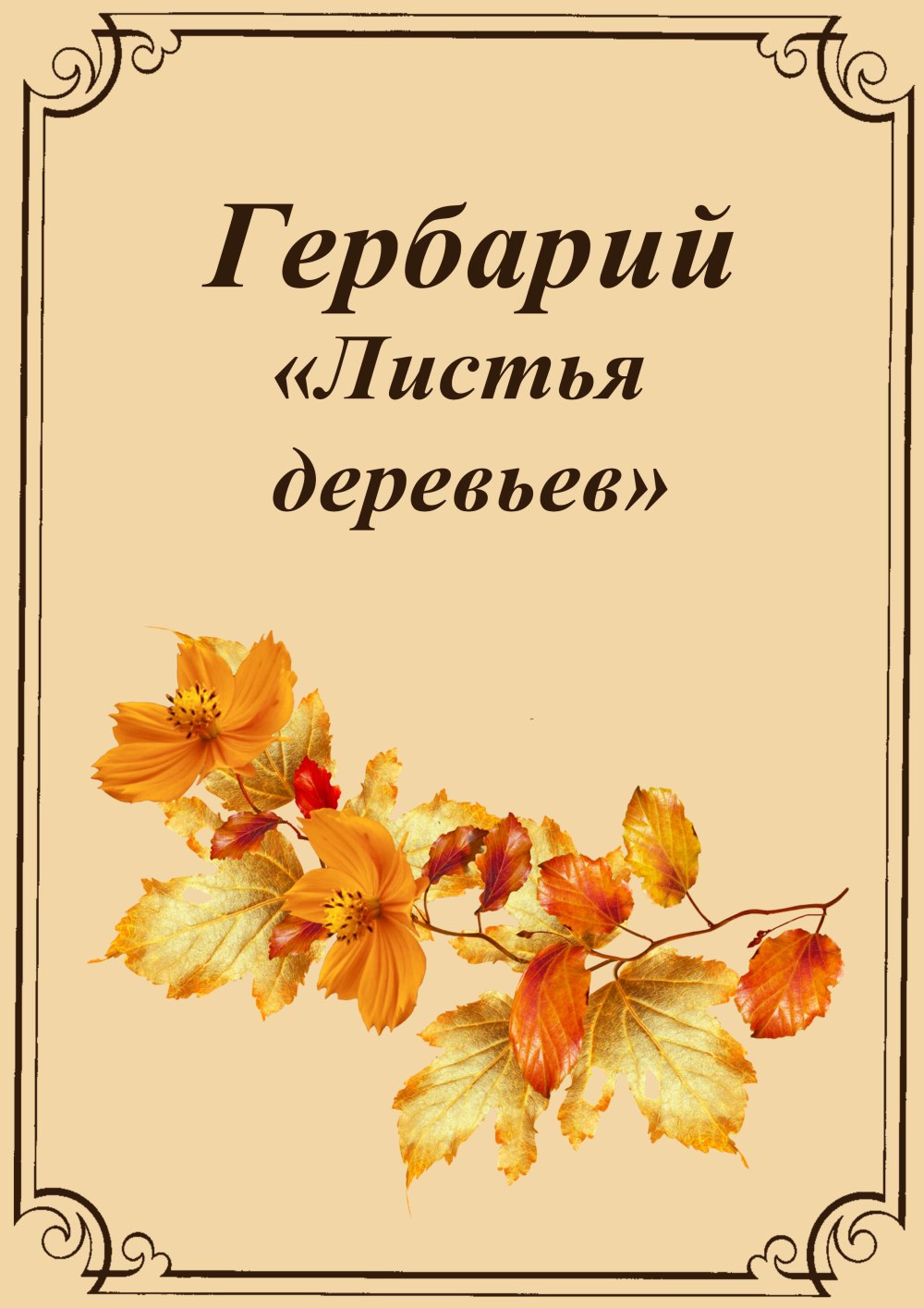 Обложка для гербария