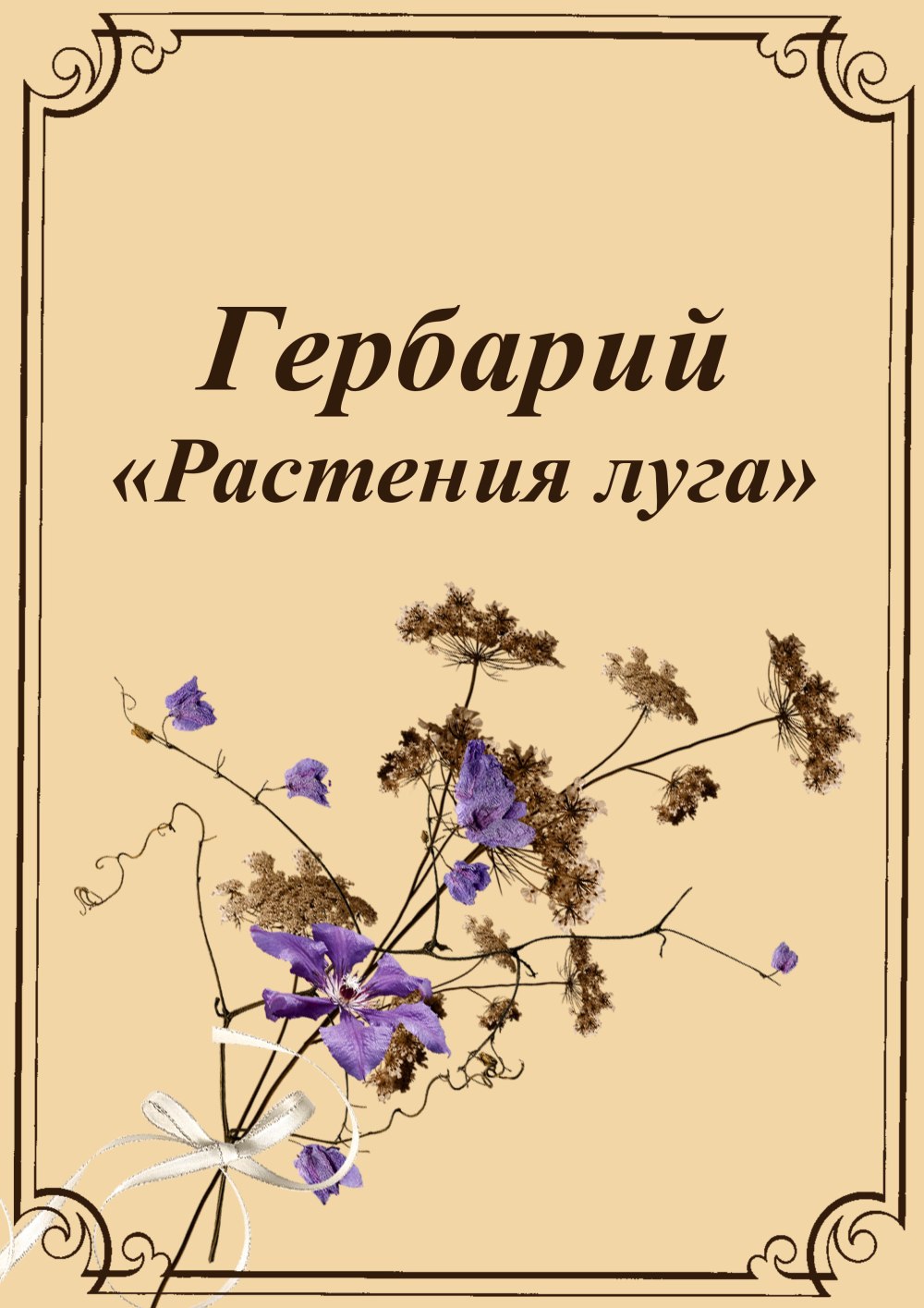 Гербарий листьев деревьев