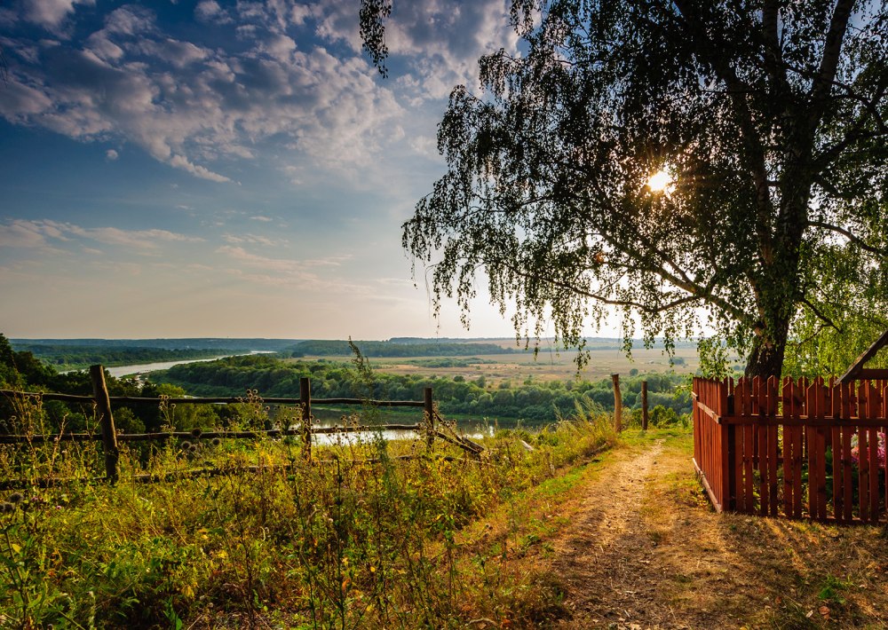 Август деревенская природа
