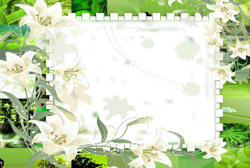 Фон для открытки