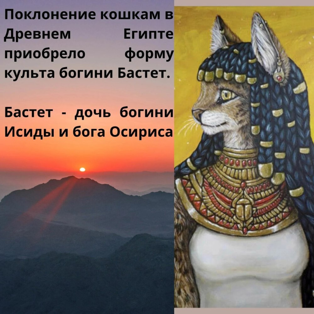 Египетские знаки Зодиак Бастет