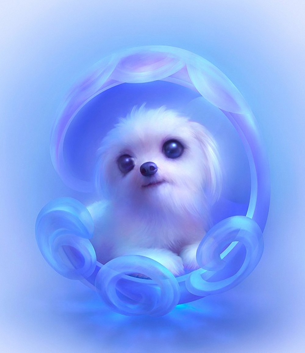 Кот с ружьем