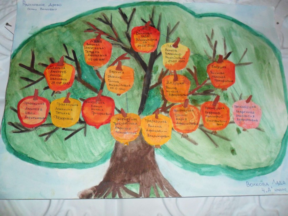 Родословная дерево 2 класс родословная дерево