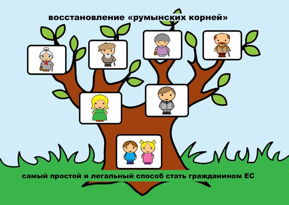 Генеалогическое дерево для портфолио