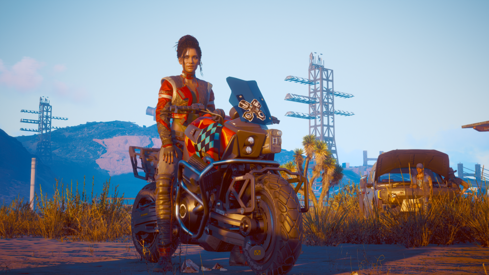 Cyberpunk 2077 панам Палмер 2077