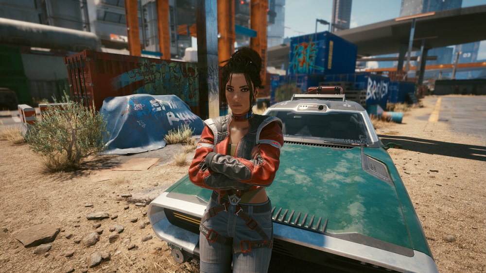 Cyberpunk 2077 панам Палмер Палмер
