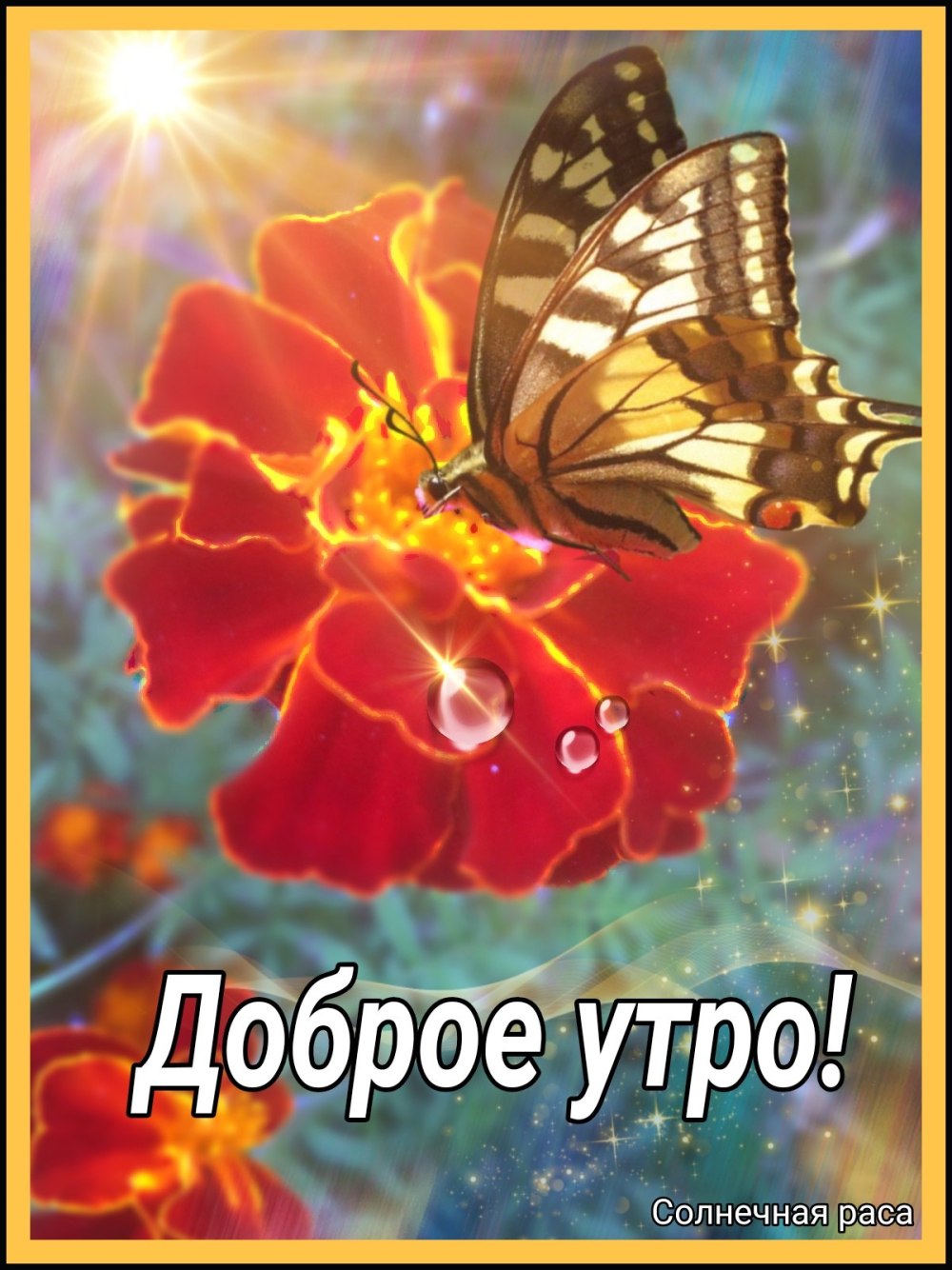 Пожелания с добрым утром Олечка