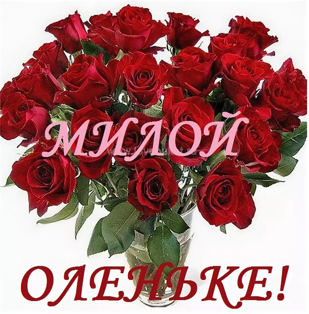 Красивые розы с добрым утром