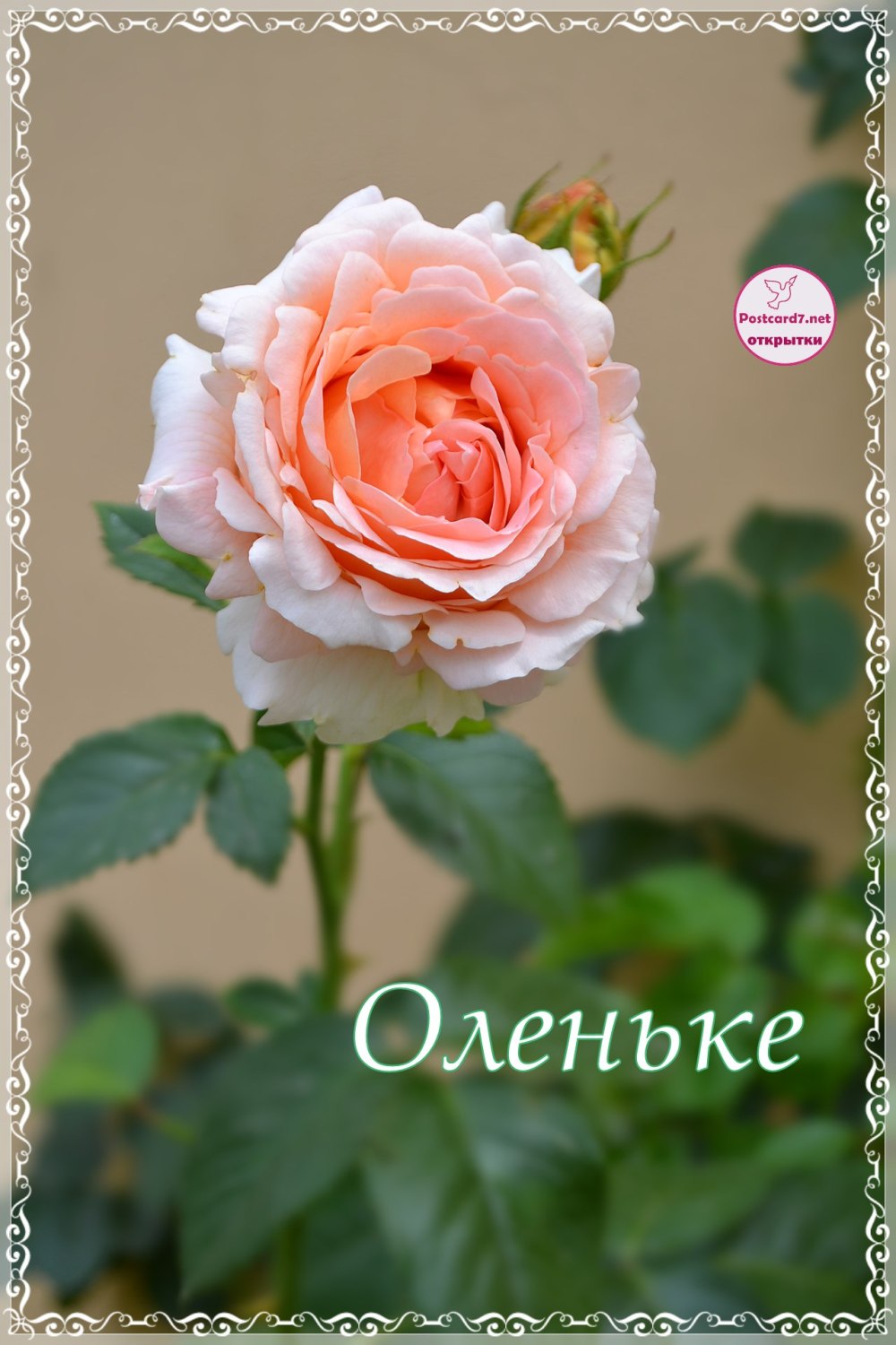 Пожелания с добрым утром от души