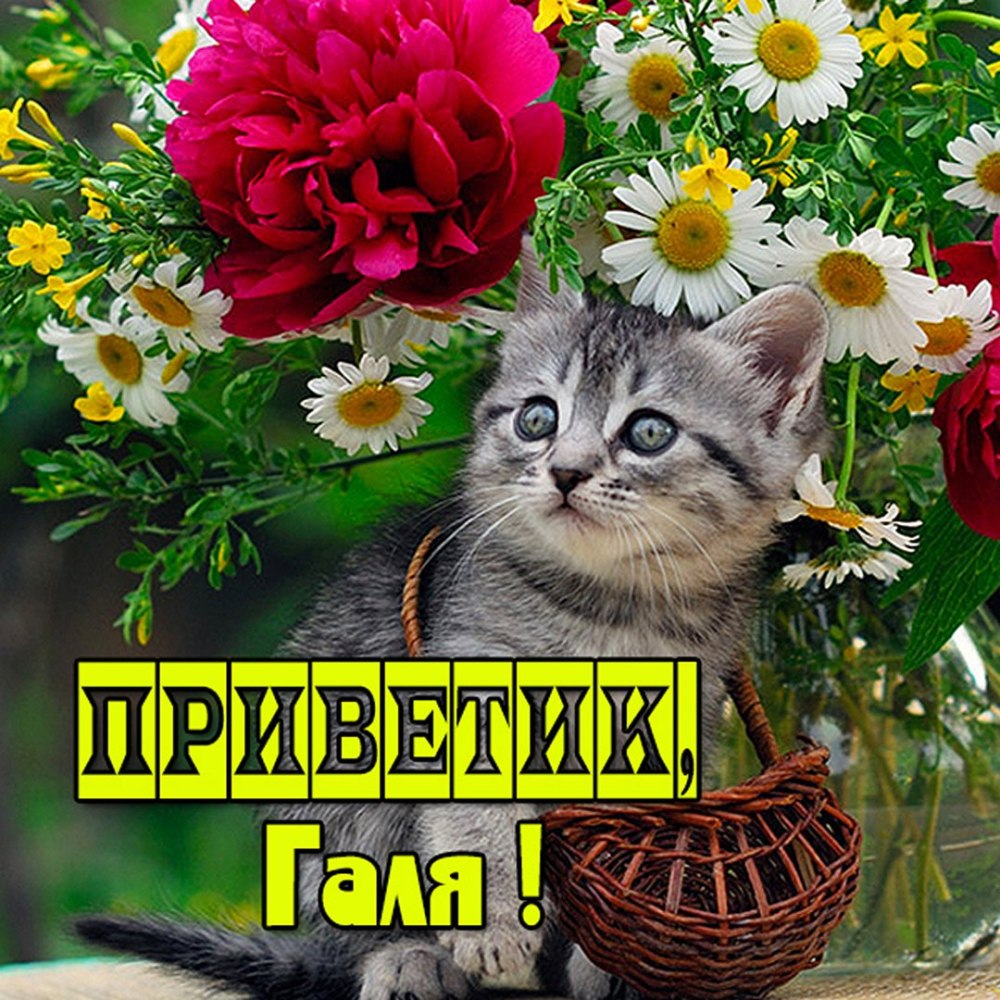 С добрым утром Светлана