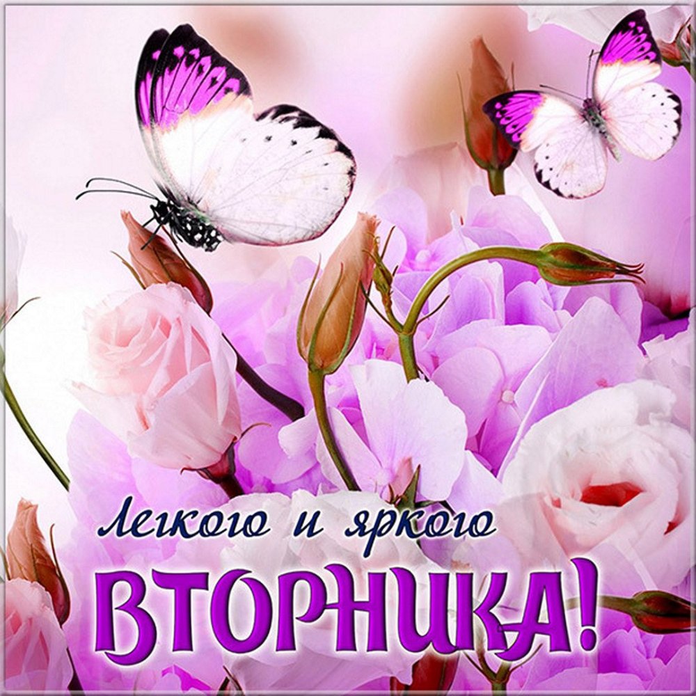 Светлана с добрымутроом