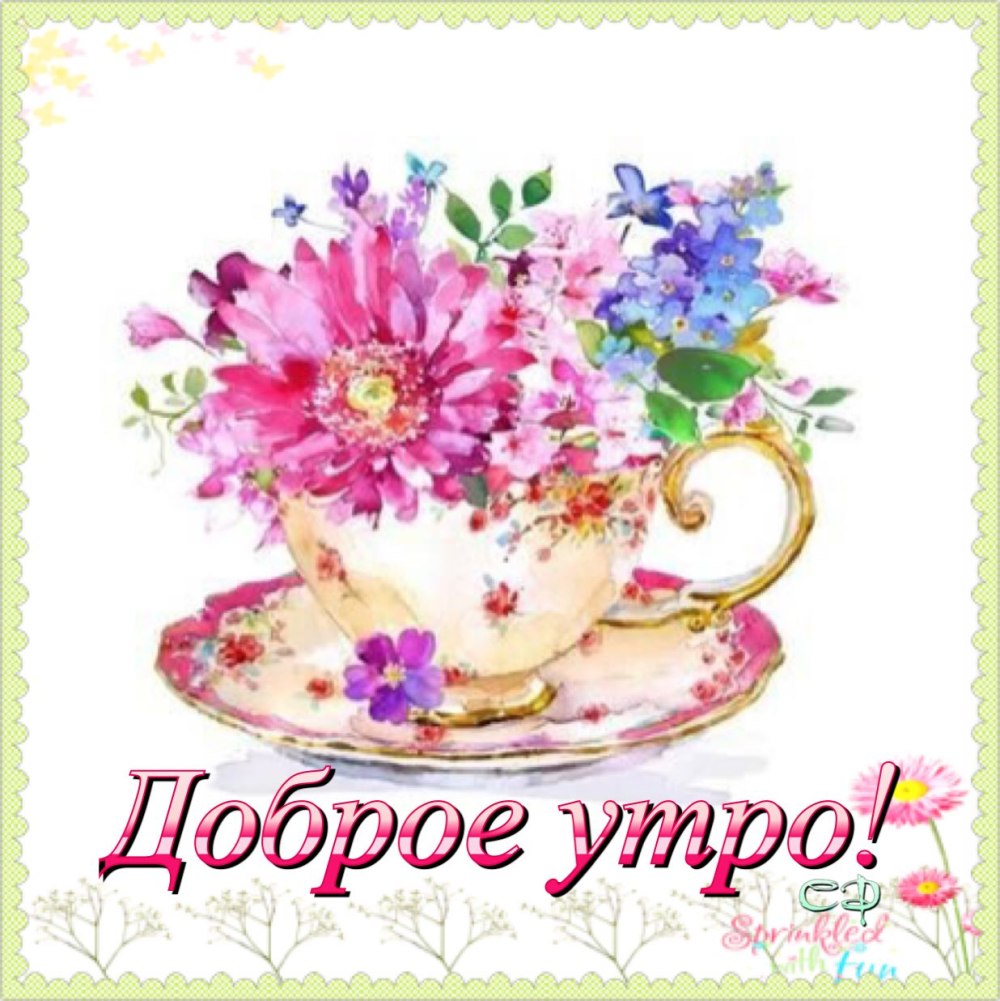 Улыбнись пожалуйста