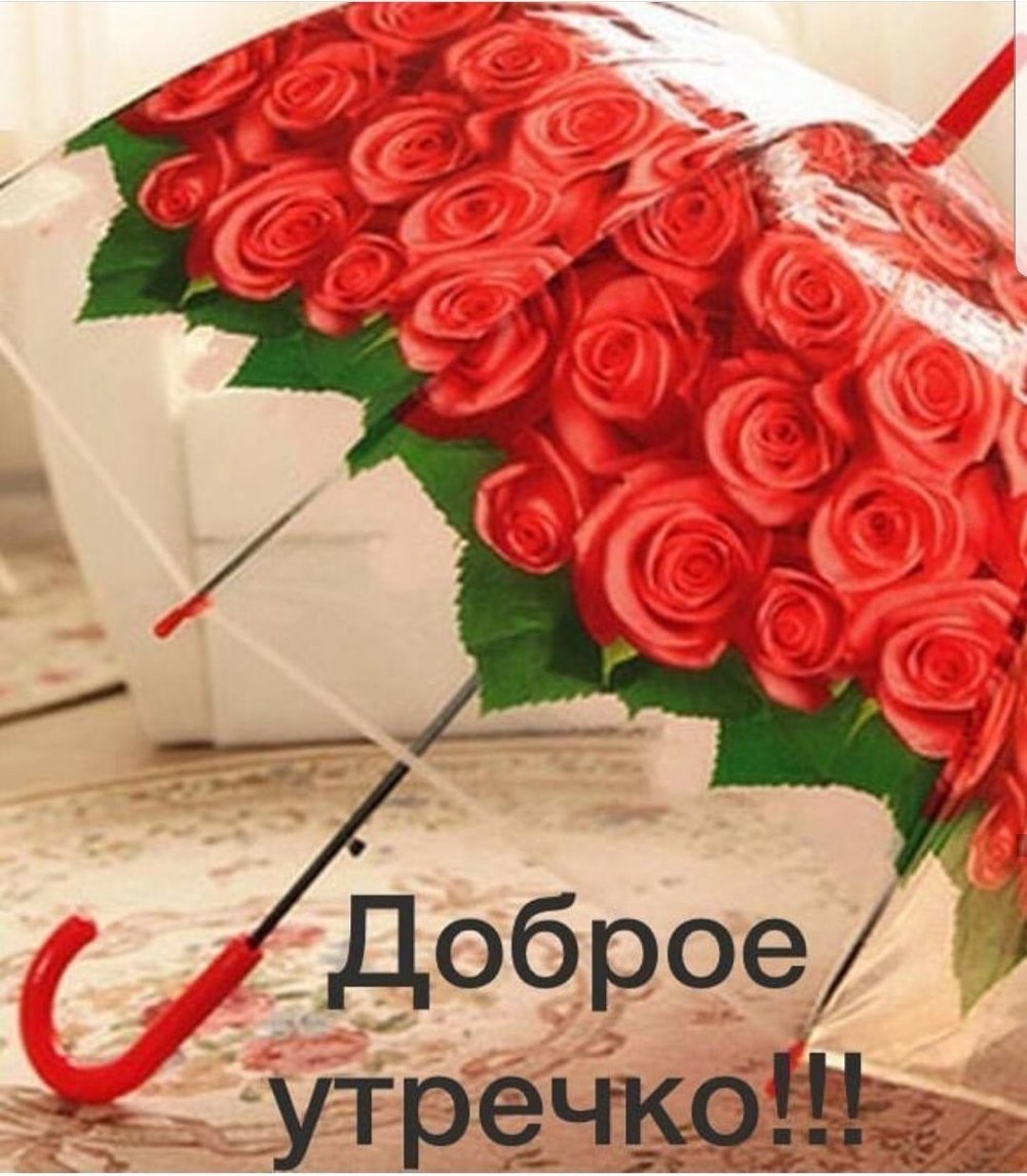 Доброе утро котик