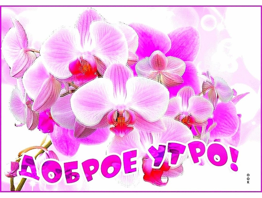 Шикарный букет для подруги