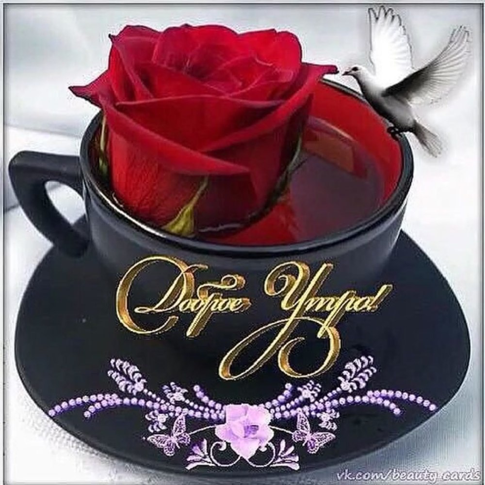 Доброе утро Леночка