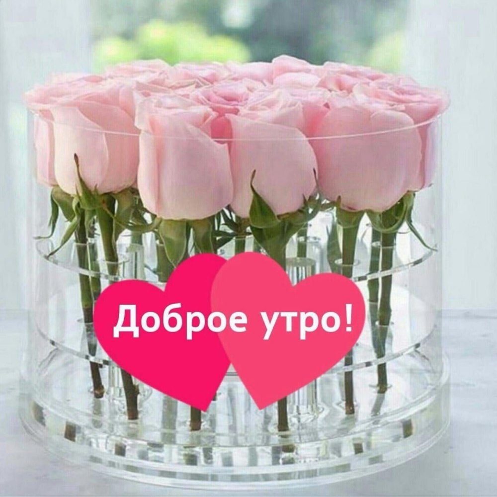 Доброе утро бабочки