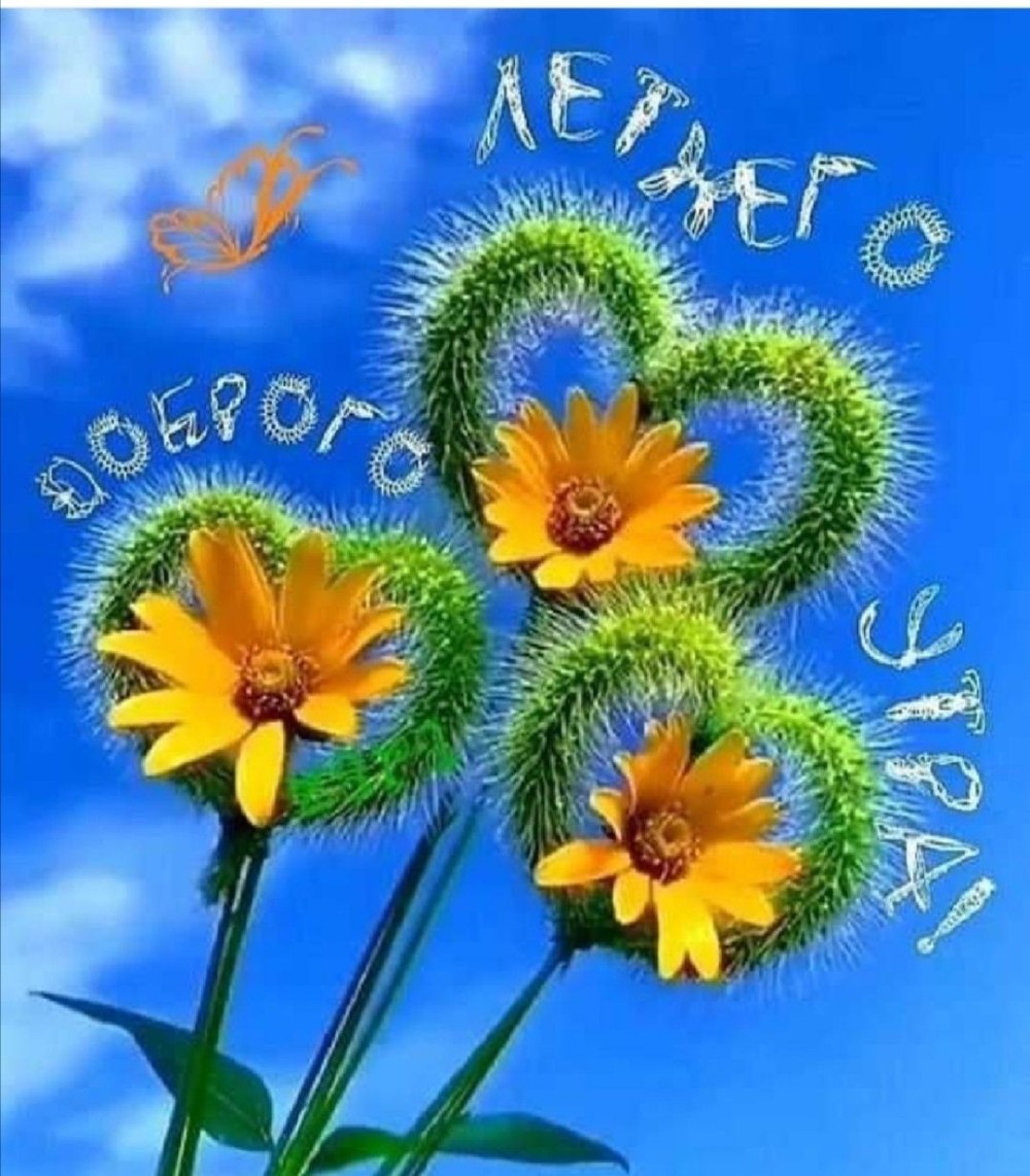 Открытки доброе июньское утро