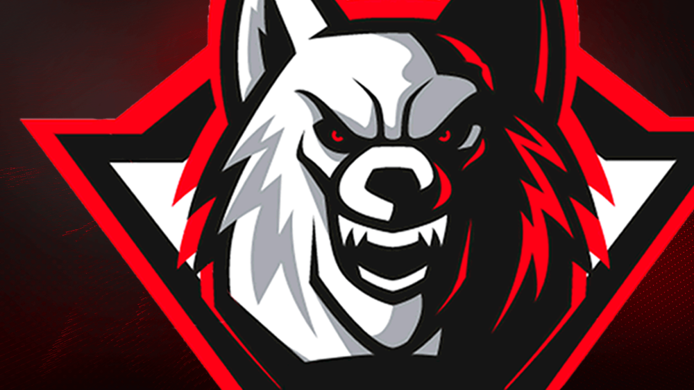 Counter Strike Global Offensive террористы