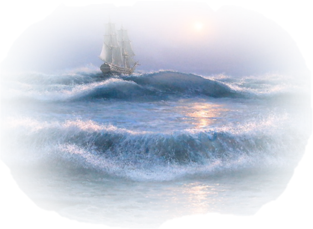 Мори на прозрачном фоне