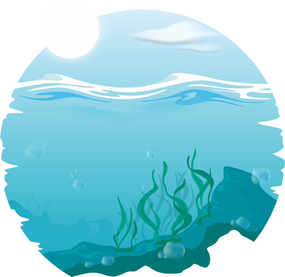 Векторное море