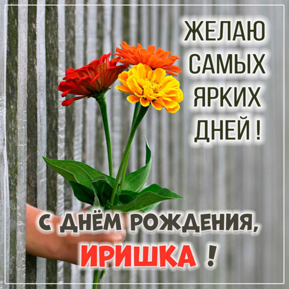 С днем рождения