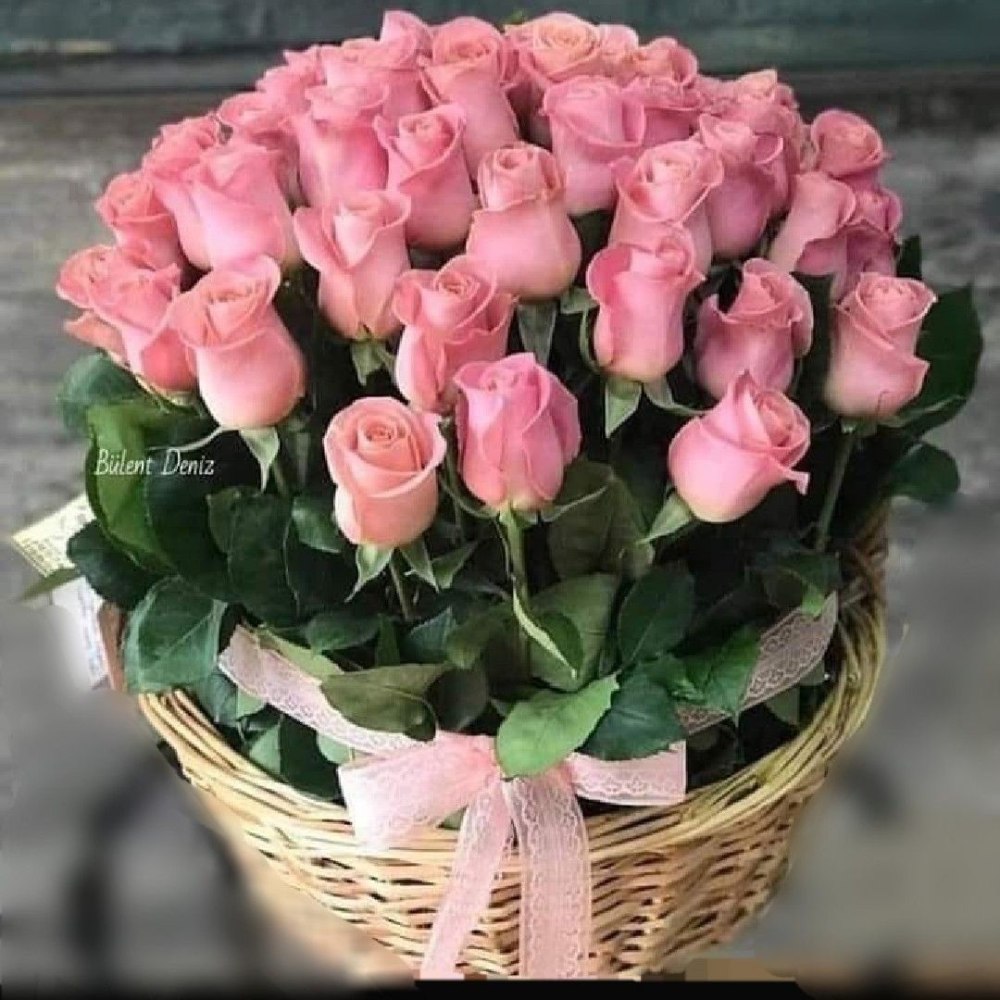 Самые красивые цветы для дочери